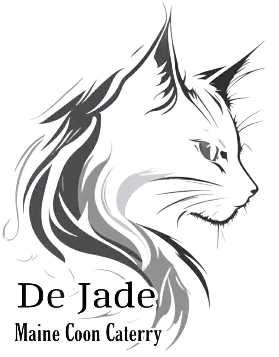 Gatos Maine Coon Logo